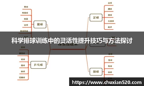 新足球直播