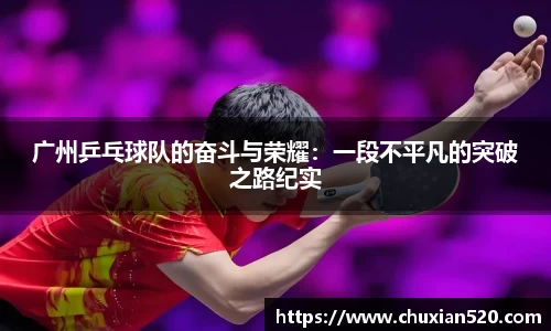 新足球直播在线观看