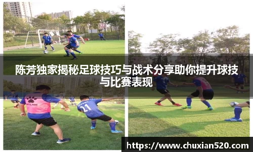 新足球直播在线观看