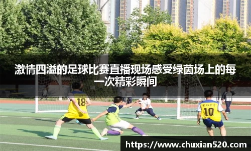 新足球体育直播