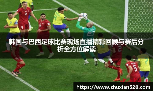 新足球体育直播