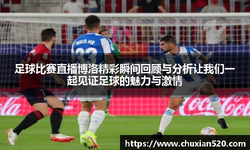 新足球体育直播