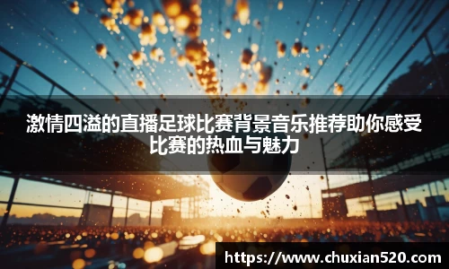 新足球直播在线观看