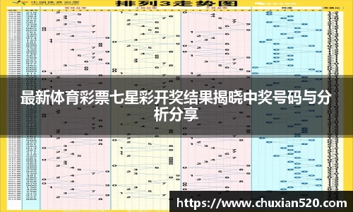 新足球直播在线观看