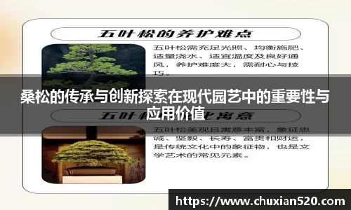 新足球直播
