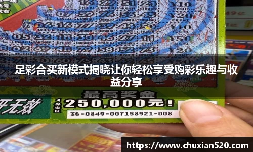 新足球直播在线观看