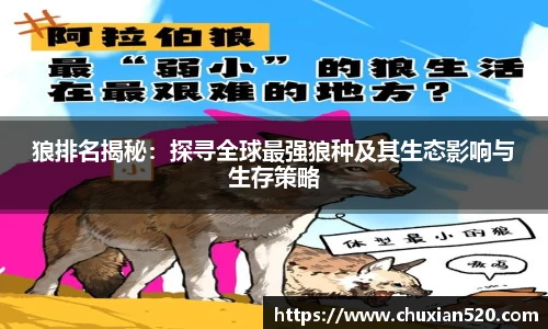 新足球体育直播