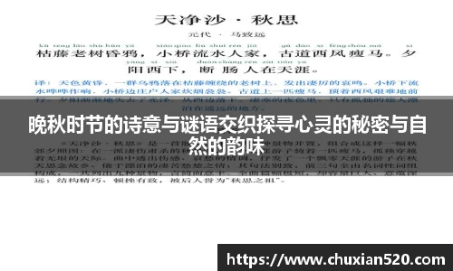 晚秋时节的诗意与谜语交织探寻心灵的秘密与自然的韵味